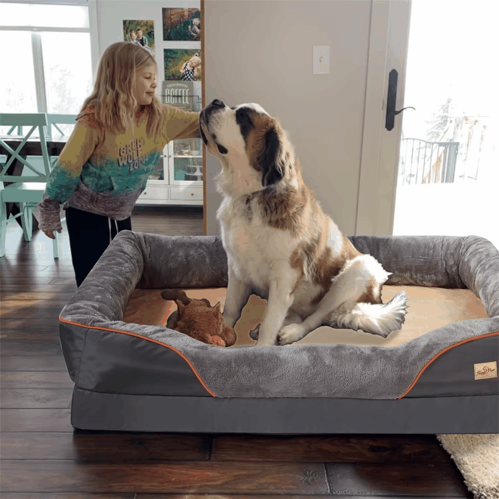 Orthopedic Memory Foam Dog Bed