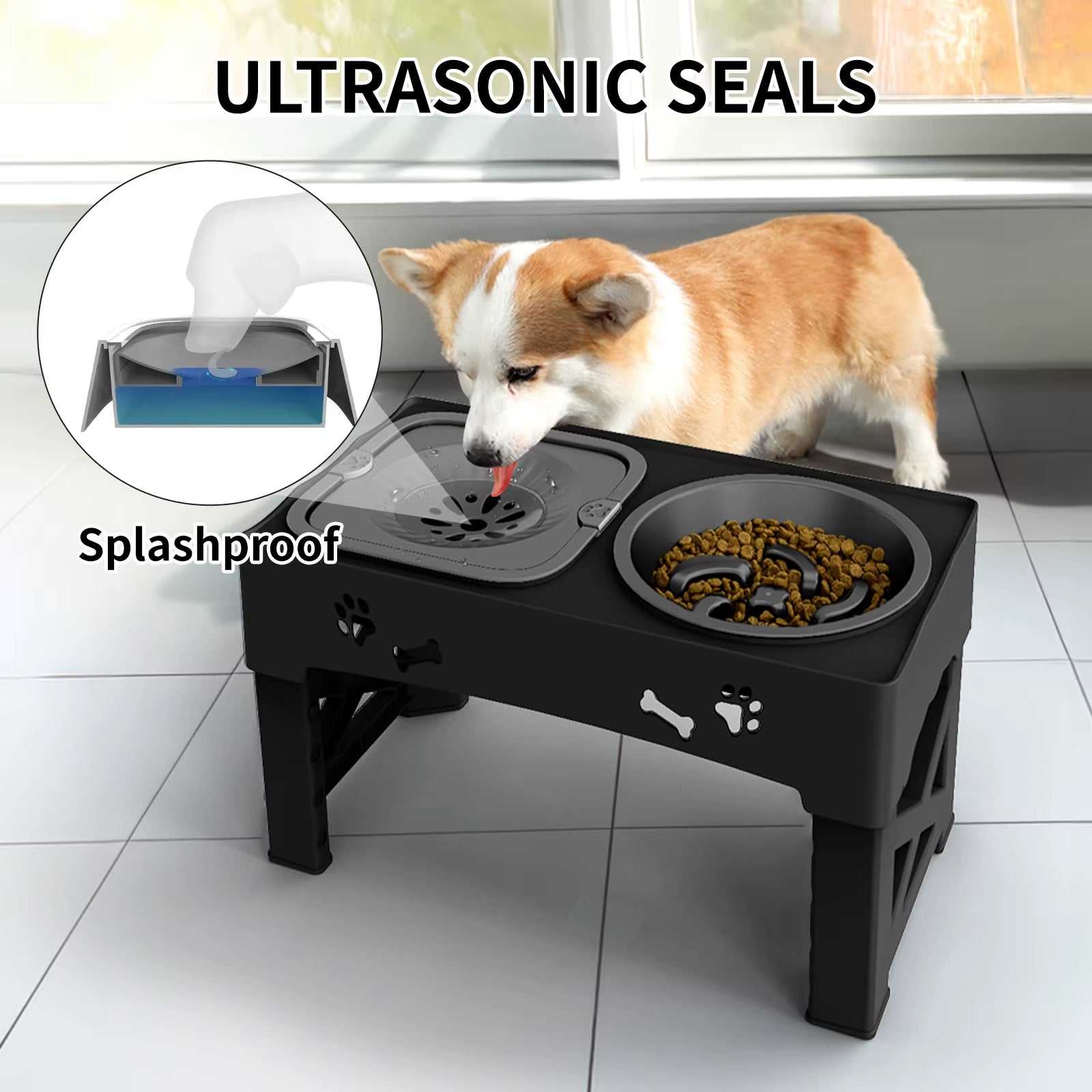 3-in-1 Pet Feeder