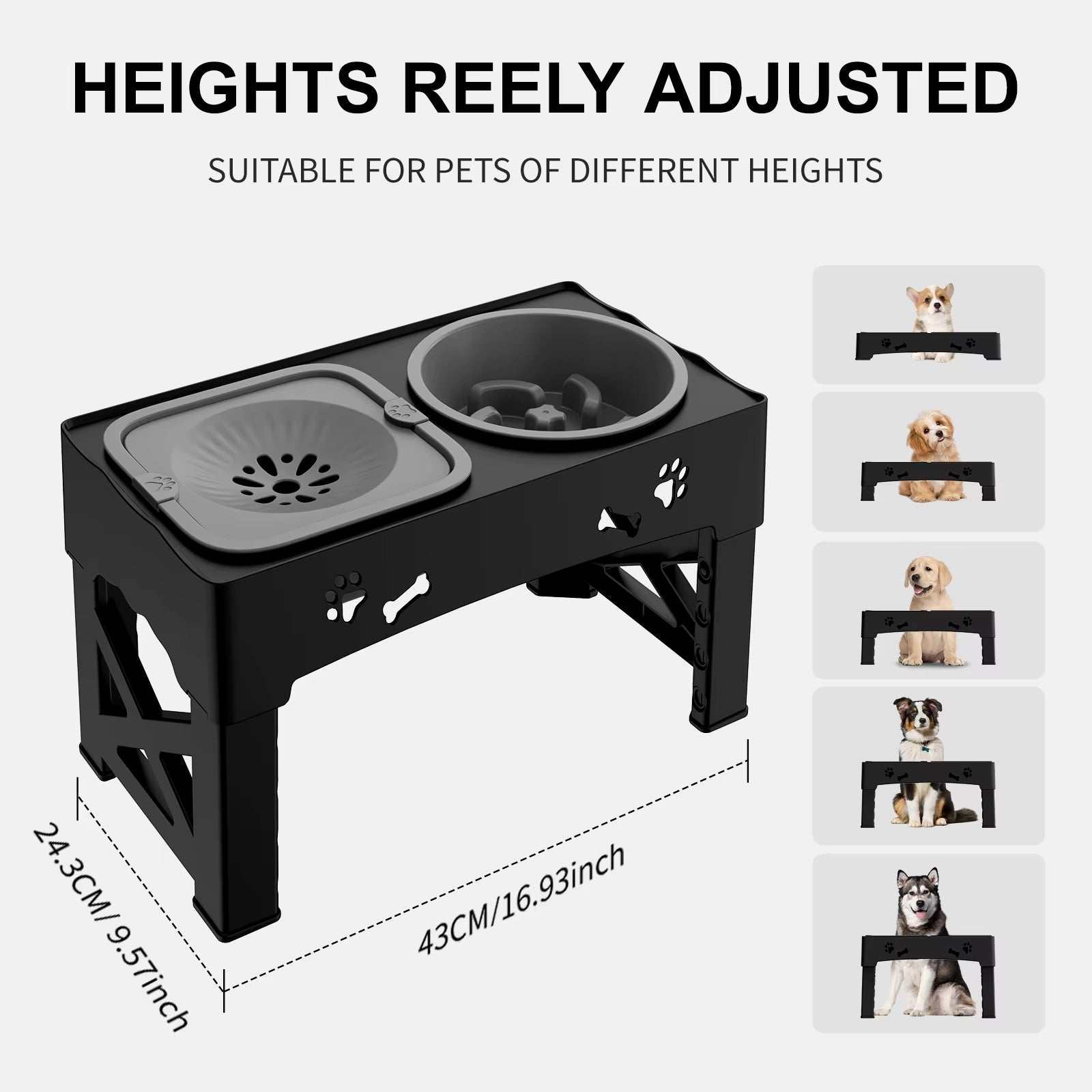 3-in-1 Pet Feeder