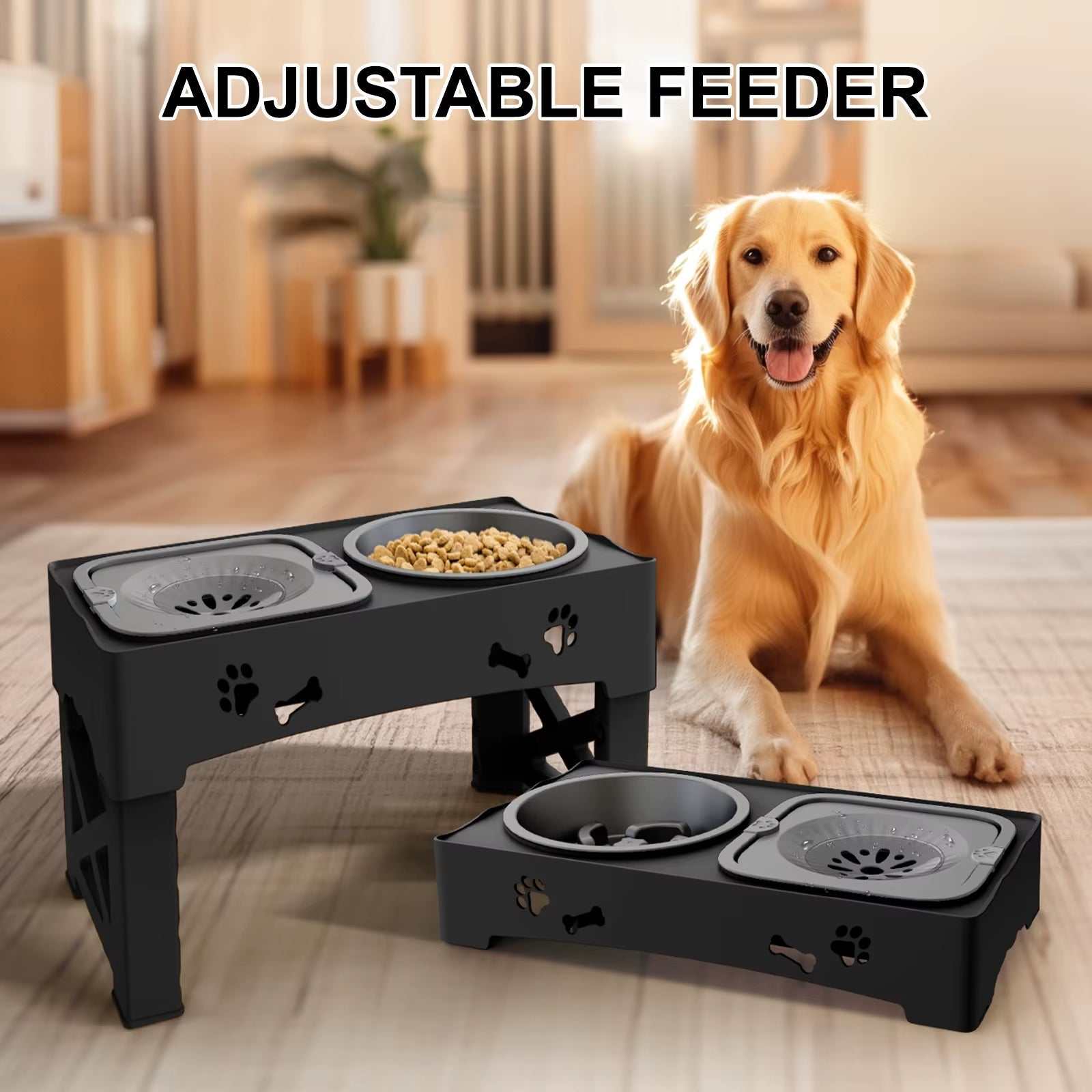 3-in-1 Pet Feeder