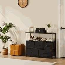 Shoe Cabinet 