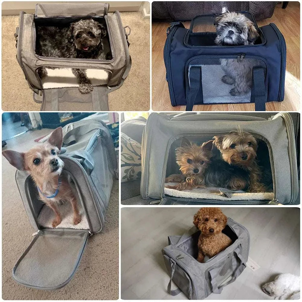 Airline Approved Pet 