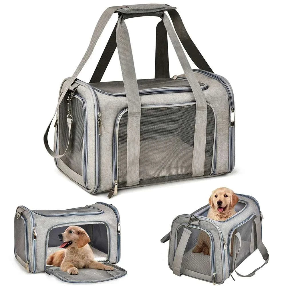 Airline Approved Pet 