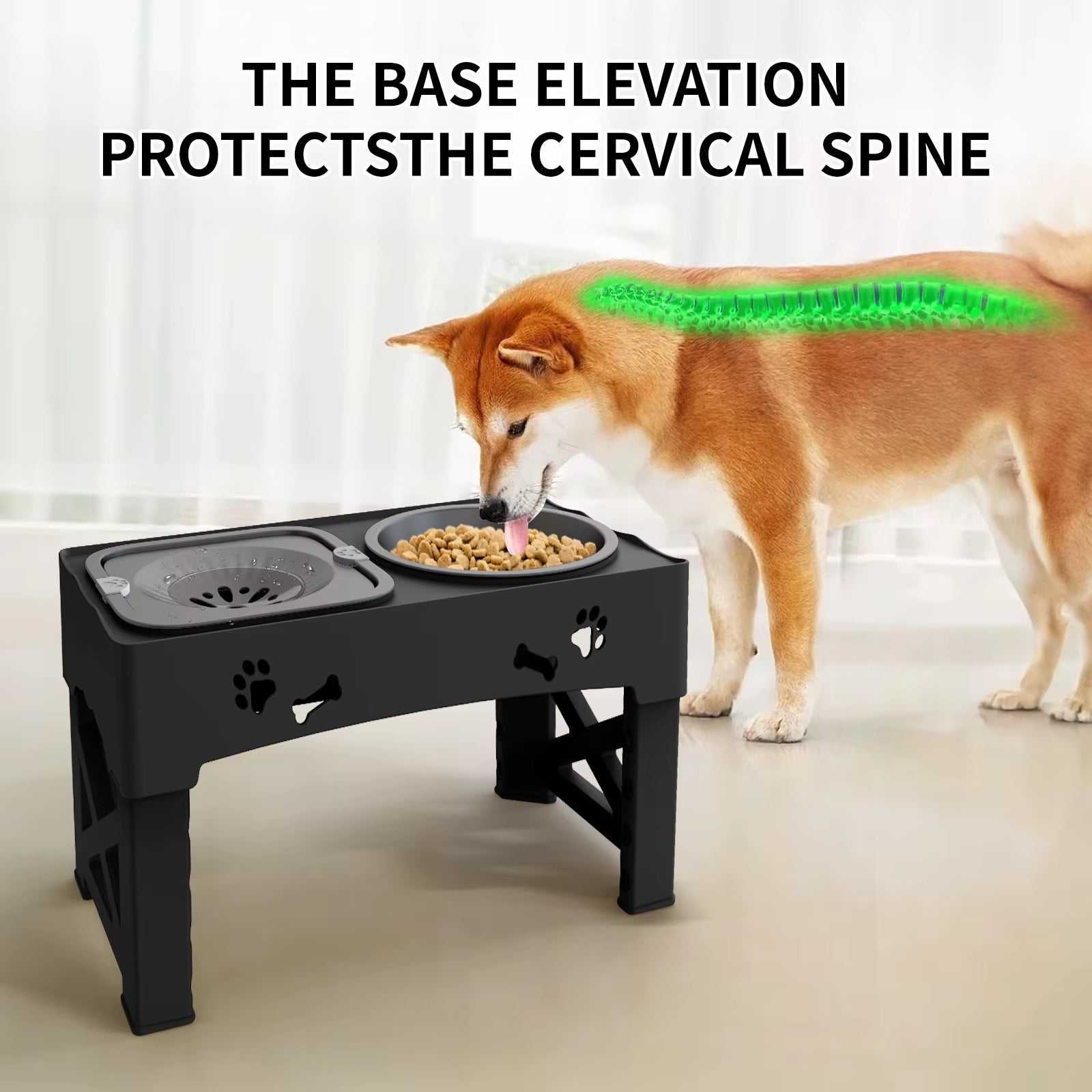 3-in-1 Pet Feeder