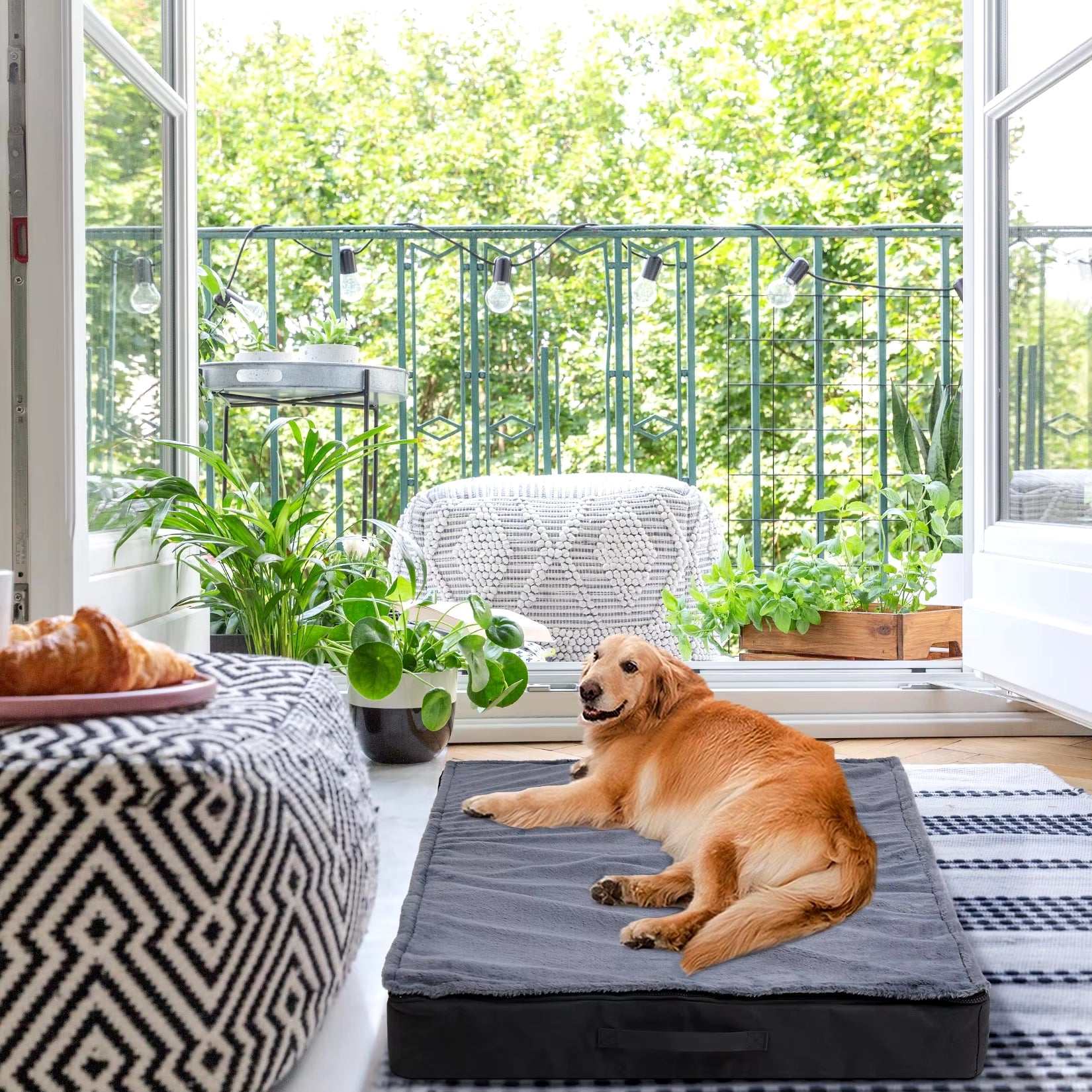 Orthopedic Dog Bed